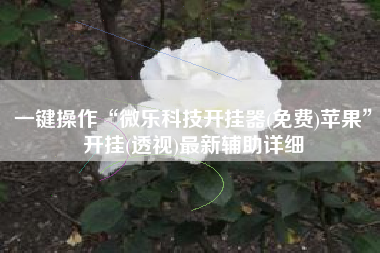 一键操作“微乐科技开挂器(免费)苹果”开挂(透视)最新辅助详细