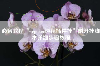 必备教程“wepoker透视插件挂”附开挂脚本详细步骤教程