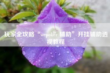 玩家全攻略“wepoker 辅助	”开挂辅助透视教程