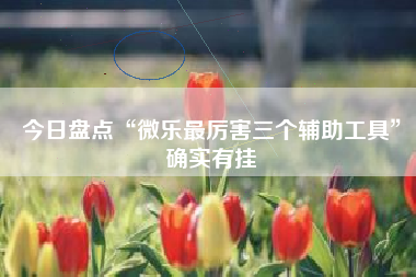 今日盘点“微乐最厉害三个辅助工具”确实有挂