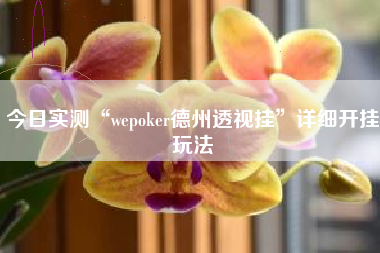 今日实测“wepoker德州透视挂”详细开挂玩法