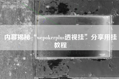 内幕揭秘“wepokerplus透视挂”分享用挂教程