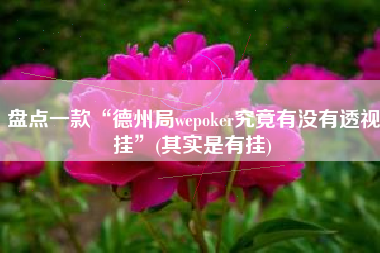 盘点一款“德州局wepoker究竟有没有透视挂	”(其实是有挂)