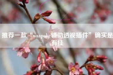 推荐一款“waapoke辅助透视插件	”确实是有挂