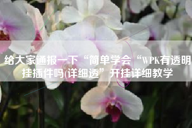 给大家通报一下“简单学会“WPK有透明挂插件吗(详细透”开挂详细教学
