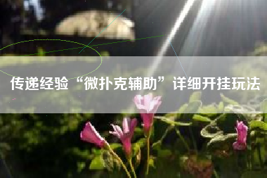 传递经验“微扑克辅助”详细开挂玩法