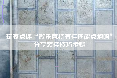 玩家点评“微乐麻将有挂还能点炮吗	”分享装挂技巧步骤