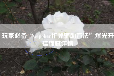 玩家必备“wepoker作弊辅助方法”爆光开挂猫腻详情