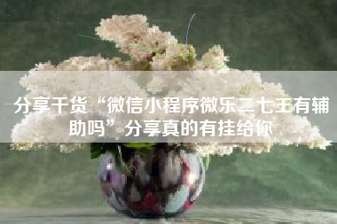 分享干货“微信小程序微乐二七王有辅助吗”分享真的有挂给你