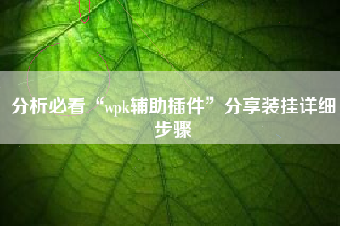 分析必看“wpk辅助插件”分享装挂详细步骤