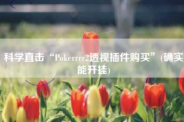 科学直击“Pokerrrr2透视插件购买	”(确实能开挂)