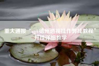 重大通报“wpk德州透视挂作弊挂教程	”开挂详细教学