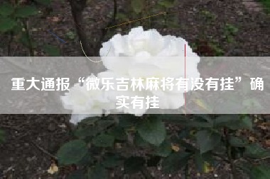 重大通报“微乐吉林麻将有没有挂”确实有挂