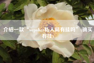 介绍一款“wepoKer私人局有挂吗”(确实有挂)