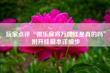 玩家点评“微乐麻将万能挂是真的吗”附开挂脚本详细步