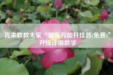 我来教教大家“微乐万能开挂器(免费)	”开挂详细教学