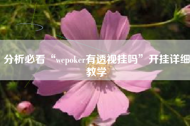 分析必看“wepoker有透视挂吗”开挂详细教学