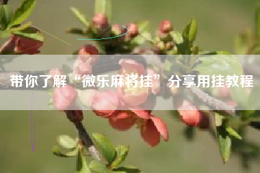 带你了解“微乐麻将挂	”分享用挂教程