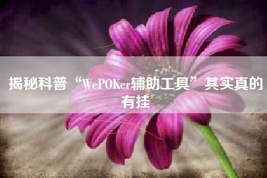 揭秘科普“WePOKer辅助工具	”其实真的有挂