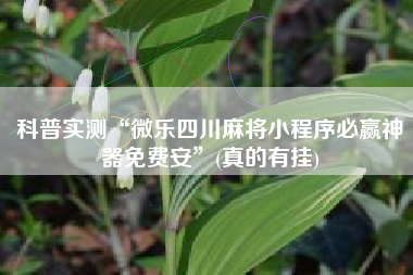 科普实测“微乐四川麻将小程序必赢神器免费安	”(真的有挂)