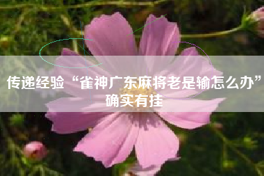 传递经验“雀神广东麻将老是输怎么办”确实有挂