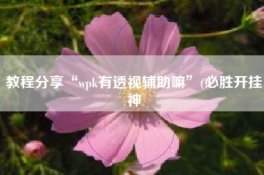 教程分享“wpk有透视辅助嘛”(必胜开挂神