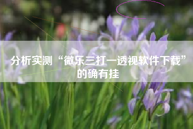 分析实测“微乐三打一透视软件下载	”的确有挂