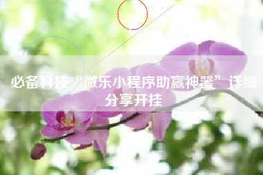 必备科技“微乐小程序助赢神器	”详细分享开挂