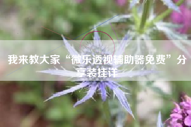 我来教大家“微乐透视辅助器免费”分享装挂详