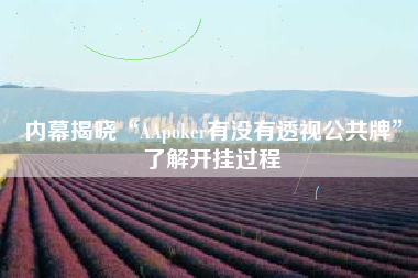内幕揭晓“AApoker有没有透视公共牌”了解开挂过程