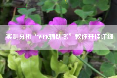 实测分析“WPK辅助器	”教你开挂详细