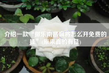 介绍一款“微乐南昌麻将怎么开免费的挂”(原来真的有挂)