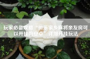 玩家必备攻略“微乐家乡麻将亲友房可以开挂吗安卓”详细开挂玩法