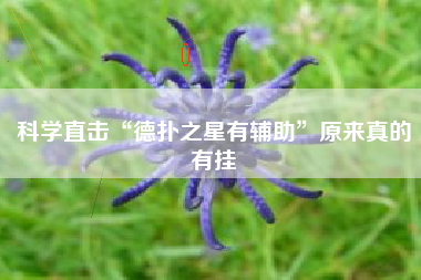 科学直击“德扑之星有辅助	”原来真的有挂