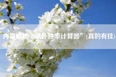 内幕揭秘“德扑胜率计算器”(真的有挂)