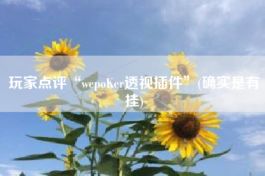 玩家点评“wepoKer透视插件”(确实是有挂)