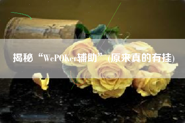 揭秘“WePOKer辅助”(原来真的有挂)