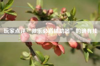 玩家点评“微乐必赢辅助器	”的确有挂