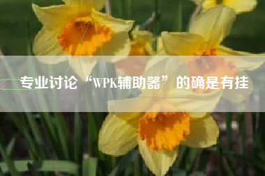 专业讨论“WPK辅助器”的确是有挂