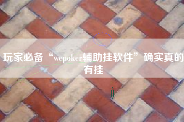 玩家必备“wepoker辅助挂软件”确实真的有挂