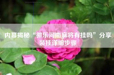 内幕揭秘“微乐河南麻将有挂吗”分享装挂详细步骤