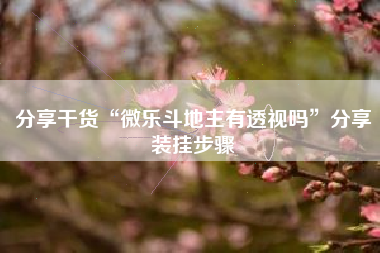 分享干货“微乐斗地主有透视吗”分享装挂步骤