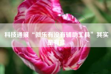 科技通报“微乐有没有辅助工具	”其实是有挂
