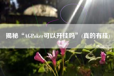 揭秘“AGPoker可以开挂吗	”(真的有挂)