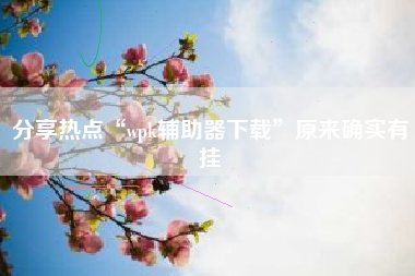 分享热点“wpk辅助器下载”原来确实有挂