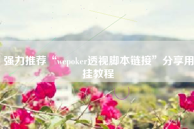 强力推荐“wepoker透视脚本链接”分享用挂教程