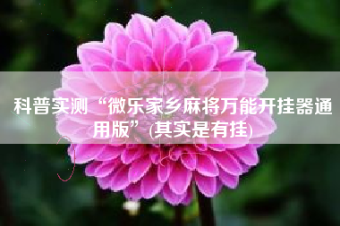 科普实测“微乐家乡麻将万能开挂器通用版	”(其实是有挂)