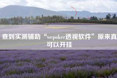 查到实测辅助“wepoker透视软件”原来真可以开挂