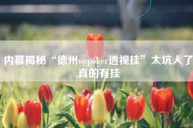 内幕揭秘“德州wepoker透视挂”太坑人了,真的有挂