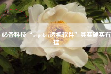 必备科技“wepoker透视软件”其实确实有挂